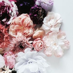 Meet your Posher, Autumn